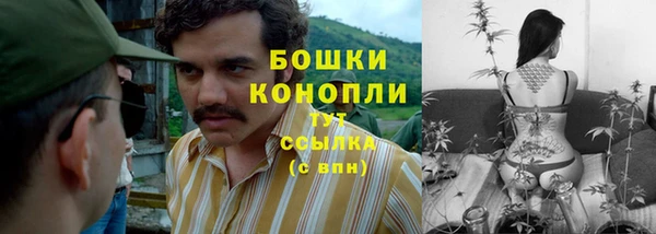 mix Пересвет