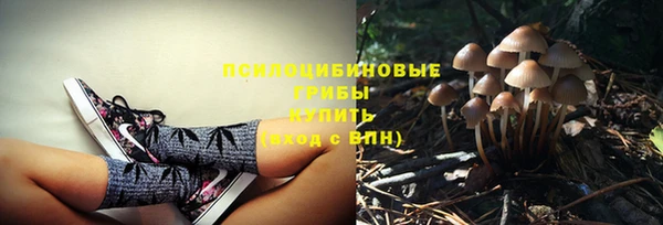 амф Переславль-Залесский