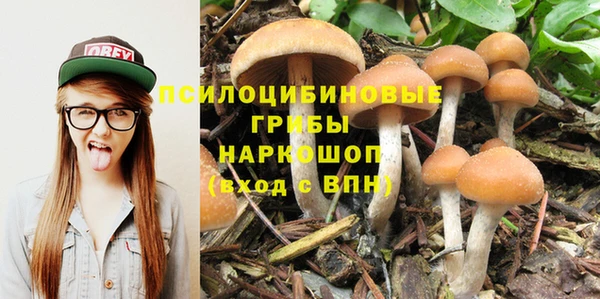 mix Пересвет