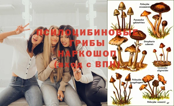 гидропоника Пестово
