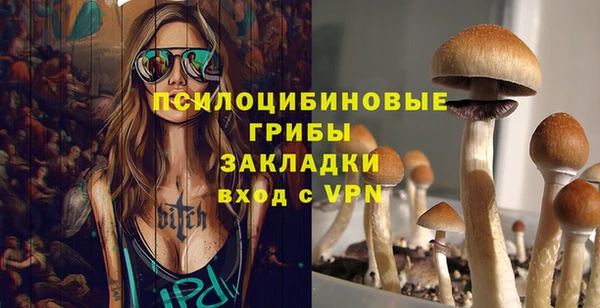 амф Переславль-Залесский