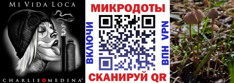 Галлюциногенные грибы Psilocybe  сайты даркнета официальный сайт  Солигалич  закладки  omg вход 
