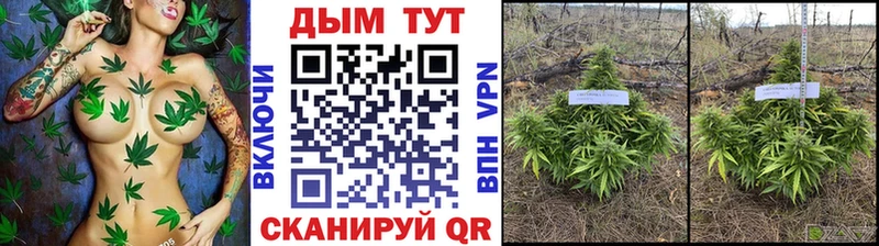 Бошки Шишки Bruce Banner  гидра вход  Солигалич  цена наркотик 